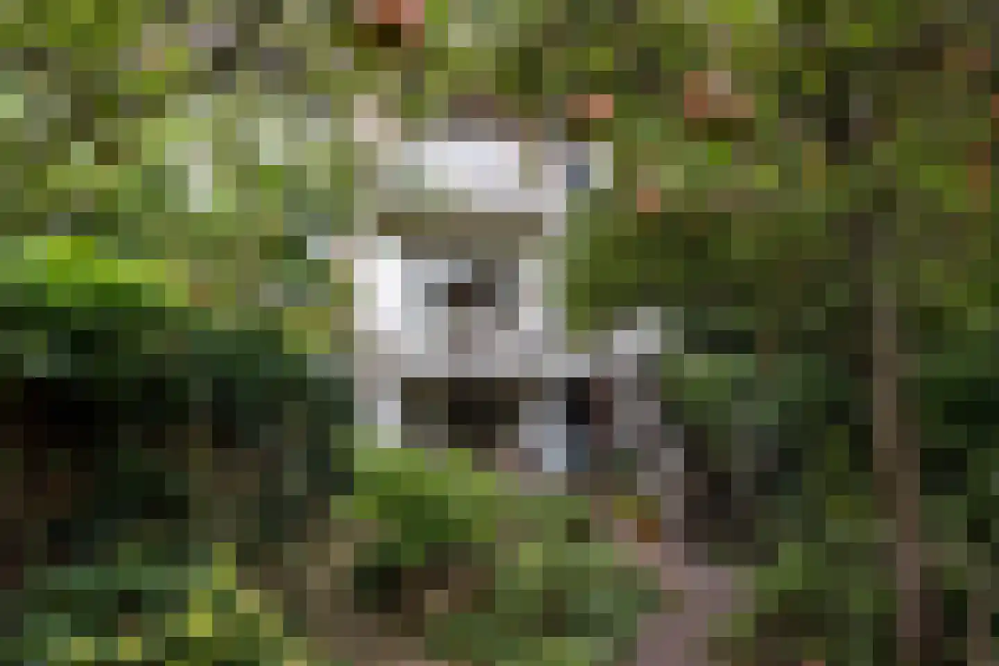 Bellamystraat 15 Utrecht thumbnail 38