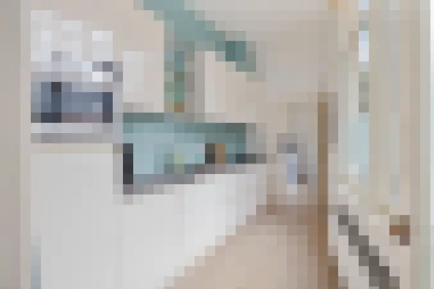 Bellamystraat 2 Utrecht thumbnail 14