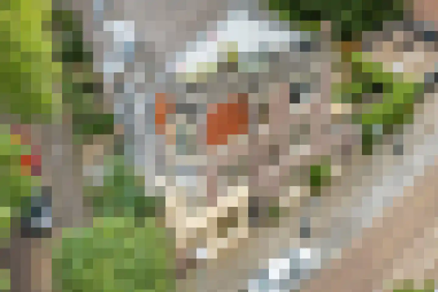 Bellamystraat 2 Utrecht thumbnail 42