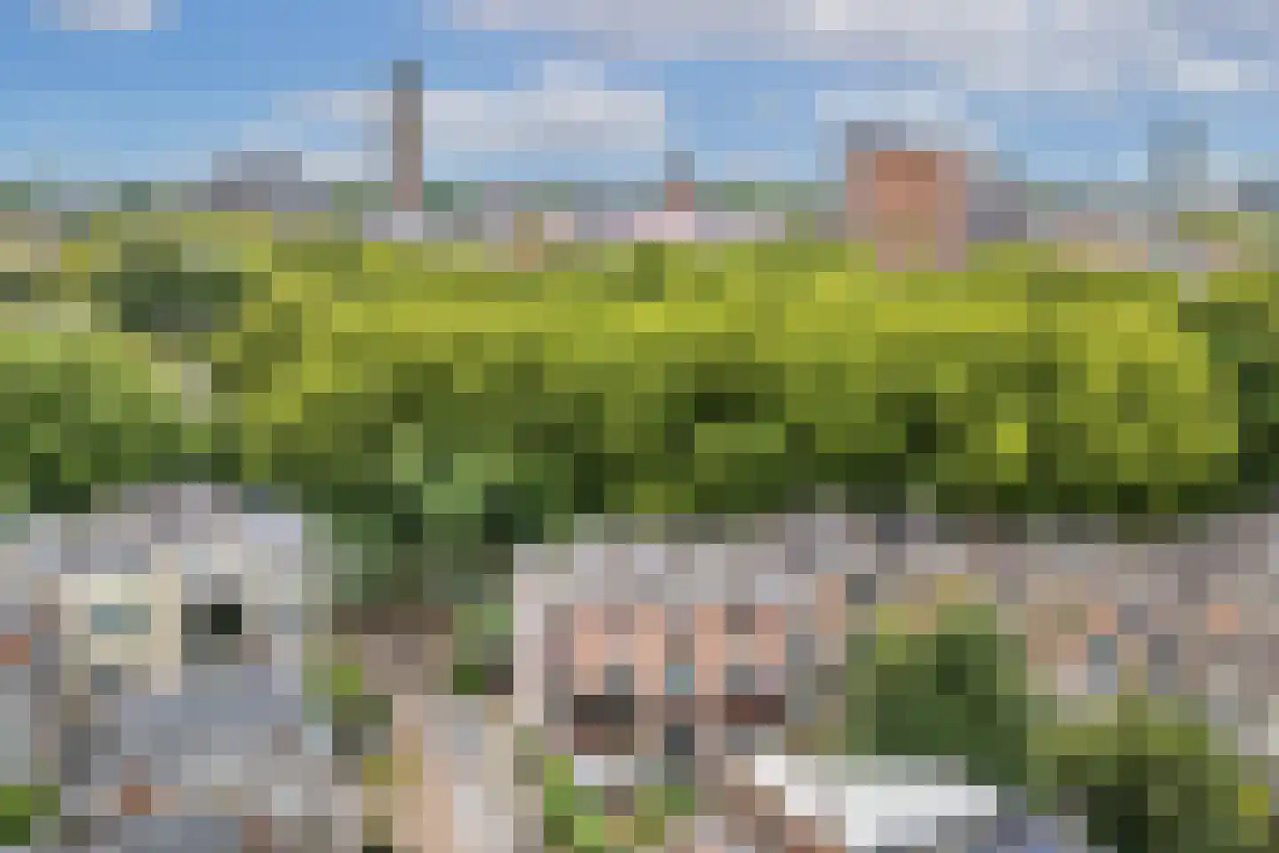 Bellamystraat 2 Utrecht thumbnail 43
