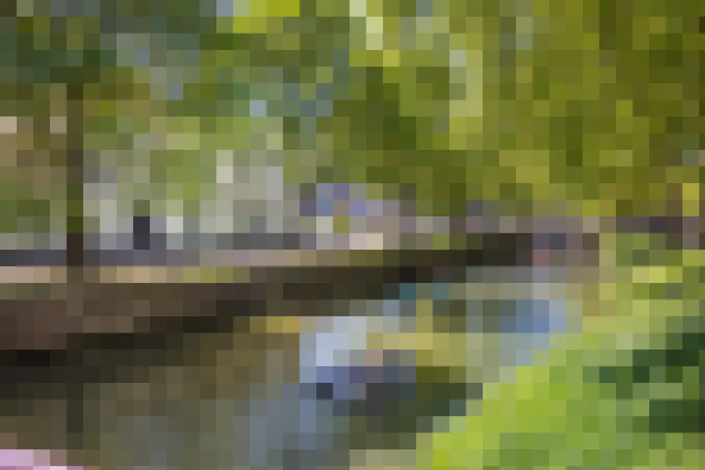 Bellamystraat 2 Utrecht thumbnail 47