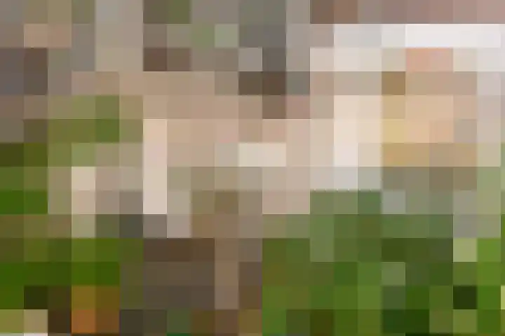 Bellamystraat 20 3 Amsterdam thumbnail 28