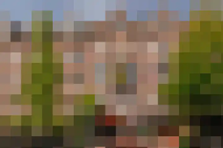 Bellamystraat 20 3 Amsterdam thumbnail 34