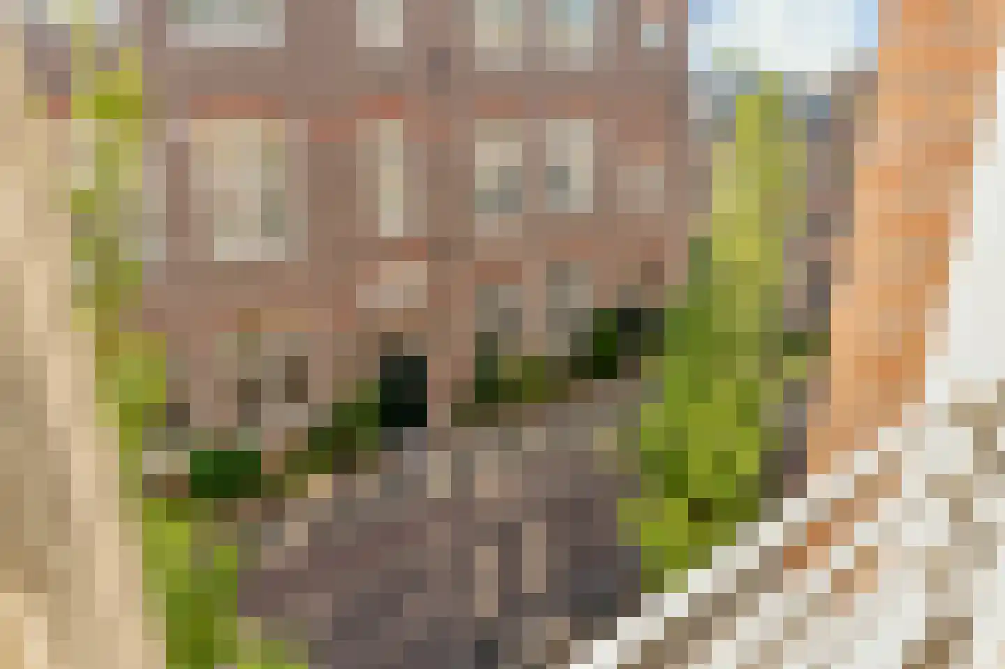Bellamystraat 22 3 Amsterdam thumbnail 26