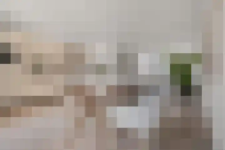 Bellamystraat 3 2 Amsterdam thumbnail 5