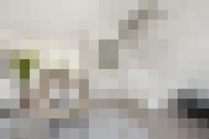Bellamystraat 3 2 Amsterdam thumbnail 6