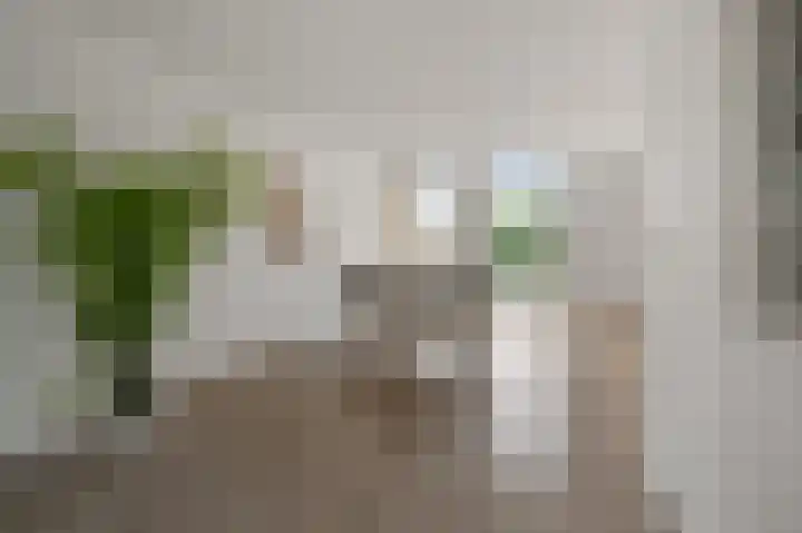 Bellamystraat 3 2 Amsterdam thumbnail 7