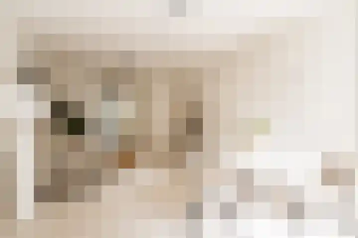 Bellamystraat 39 B Amsterdam thumbnail 7
