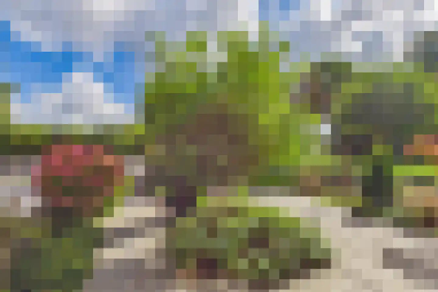Bellamystraat 41 Terneuzen thumbnail 35