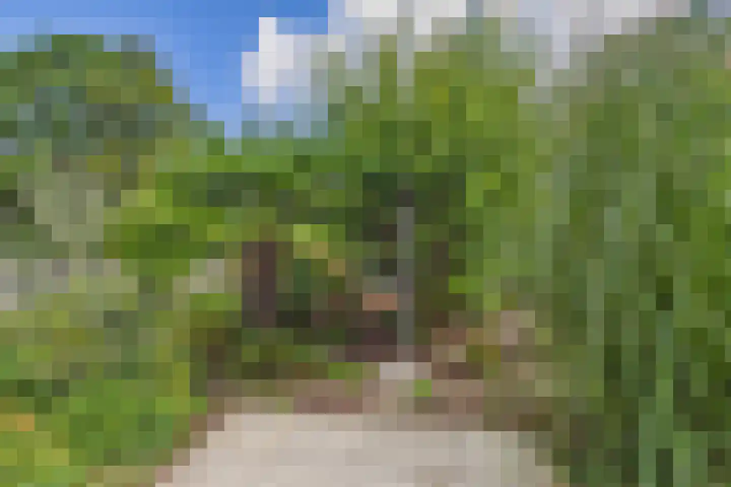 Bellamystraat 41 Terneuzen thumbnail 36