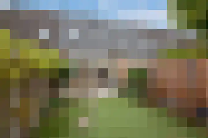 Bellamystraat 44 Den Haag thumbnail 4