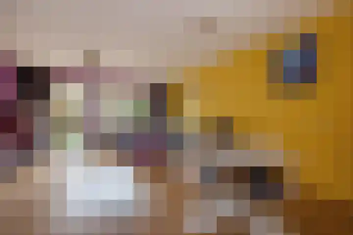 Bellamystraat 44 Den Haag thumbnail 9