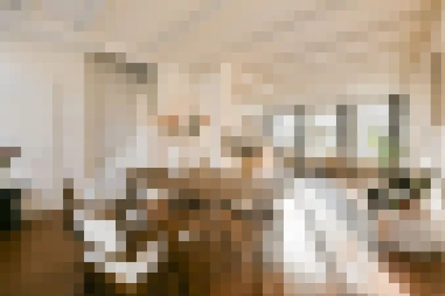 Bellamystraat 5 2 Amsterdam thumbnail 5
