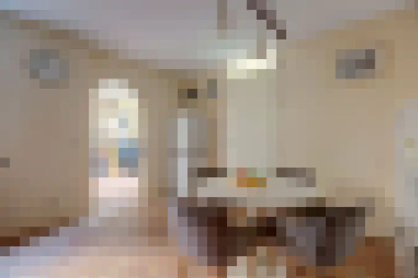 Bellamystraat 5 Gouda thumbnail 16