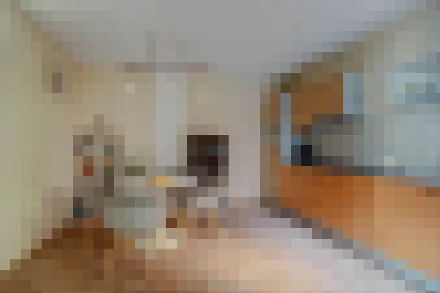 Bellamystraat 5 Gouda thumbnail 17