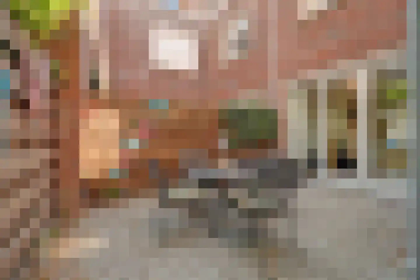 Bellamystraat 5 Gouda thumbnail 5