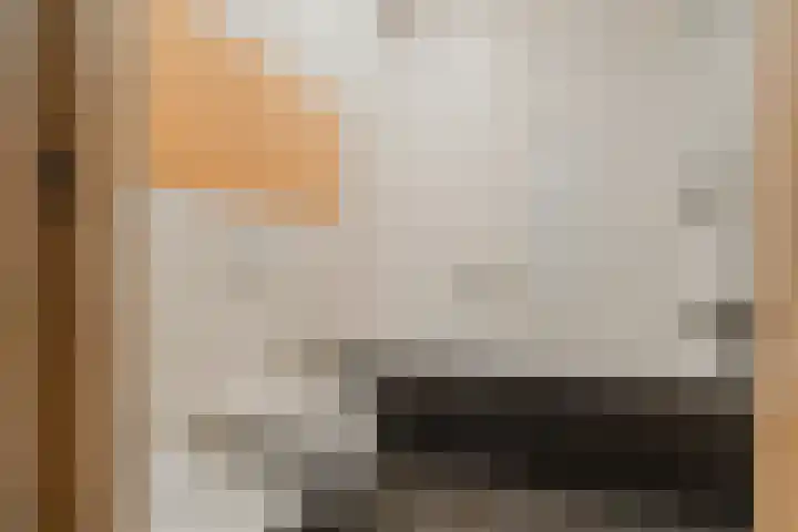 Bellamystraat 53 2 Amsterdam thumbnail 34