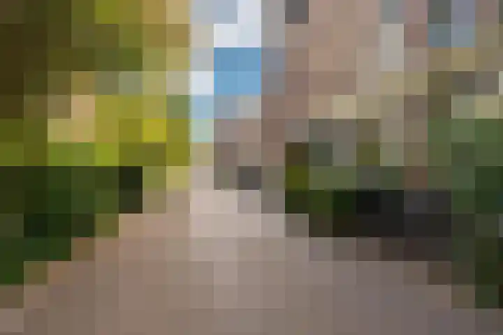 Bellamystraat 53 2 Amsterdam thumbnail 38