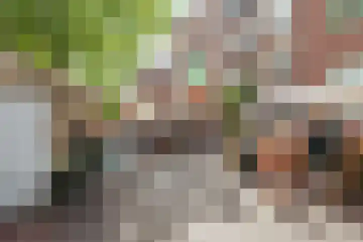 Bellamystraat 7 1 Amsterdam thumbnail 27