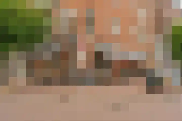 Bellamystraat 7 1 Amsterdam thumbnail 29