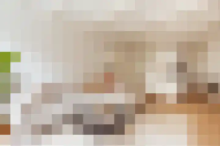 Bellamystraat 7 1 Amsterdam thumbnail 8