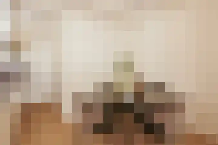 Bellamystraat 7 1 Amsterdam thumbnail 9