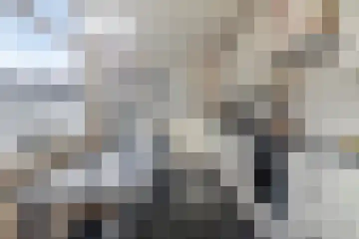 Bellamystraat 79 Terneuzen thumbnail 13
