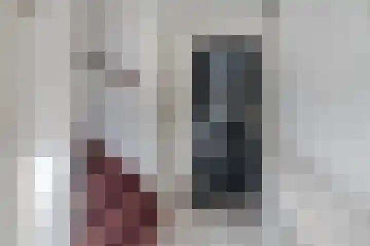 Bellamystraat 79 Terneuzen thumbnail 17
