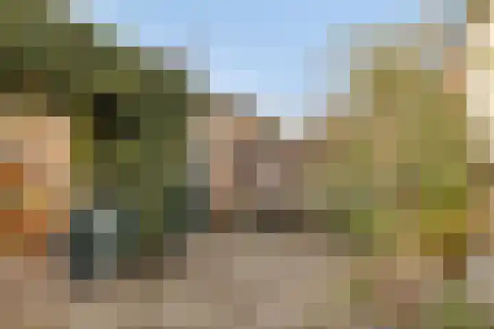 Bellamystraat 79 Terneuzen thumbnail 32