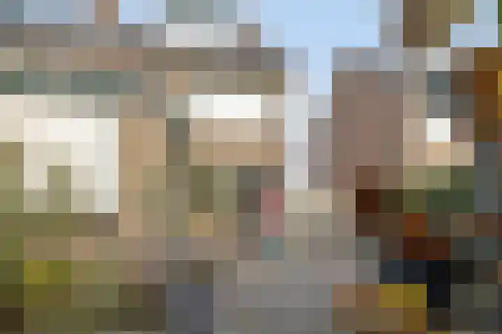 Bellamystraat 79 Terneuzen thumbnail 33