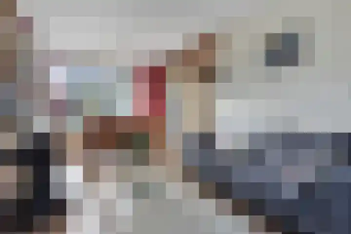 Bellamystraat 79 Terneuzen thumbnail 4