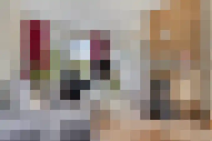 Bellamystraat 79 Terneuzen thumbnail 8