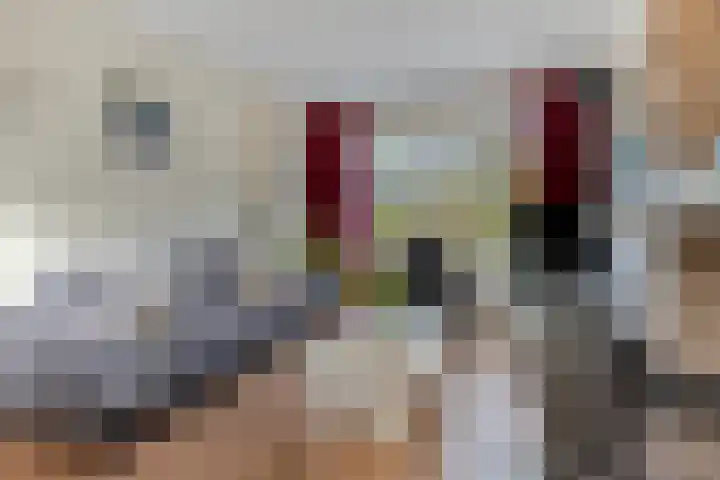 Bellamystraat 79 Terneuzen thumbnail 9