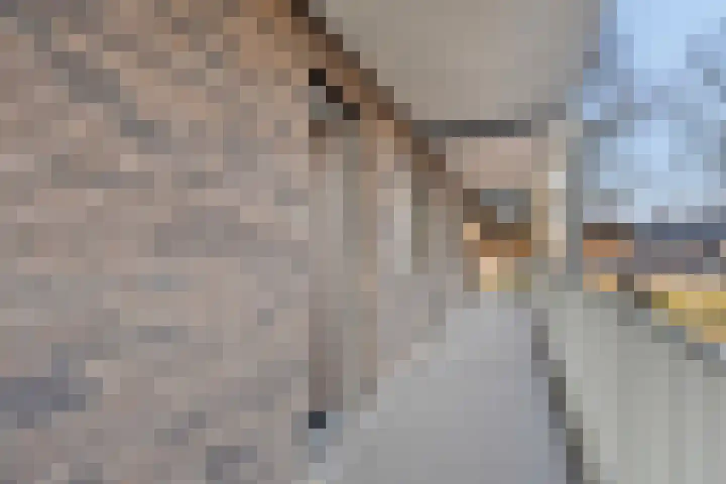 Bellamystraat 96 Terneuzen thumbnail 6