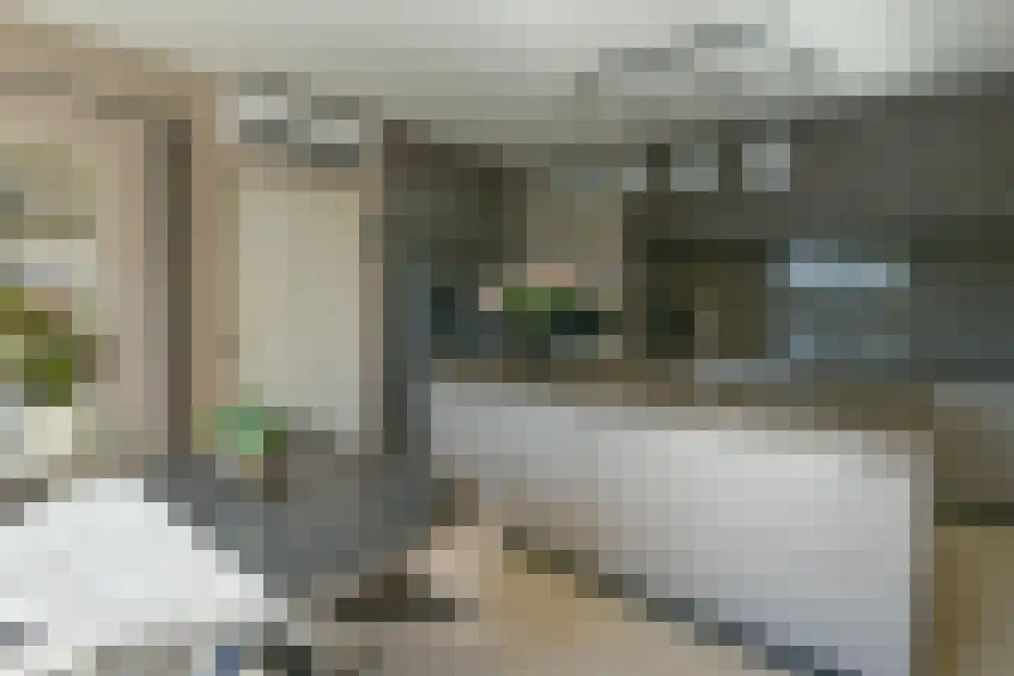 Belle van Zuylenhof 13 Huizen thumbnail 19