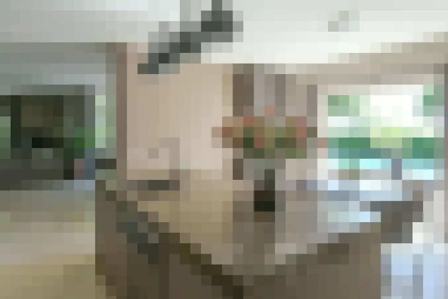 Belle van Zuylenhof 13 Huizen thumbnail 22