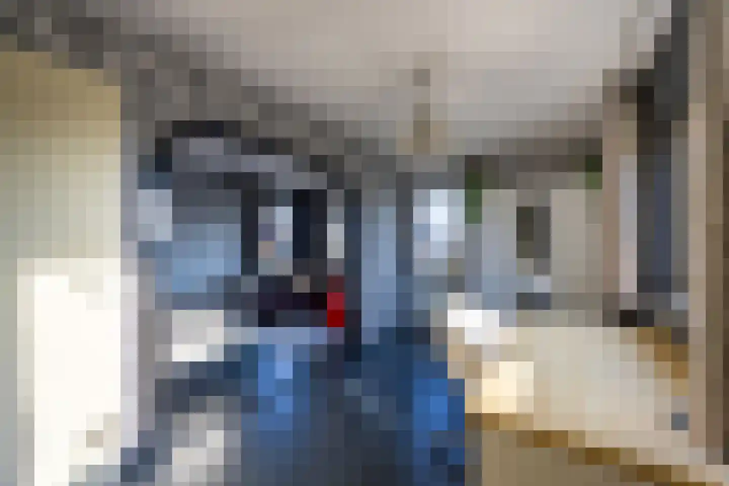 Belle van Zuylenhof 5 Huizen thumbnail 23