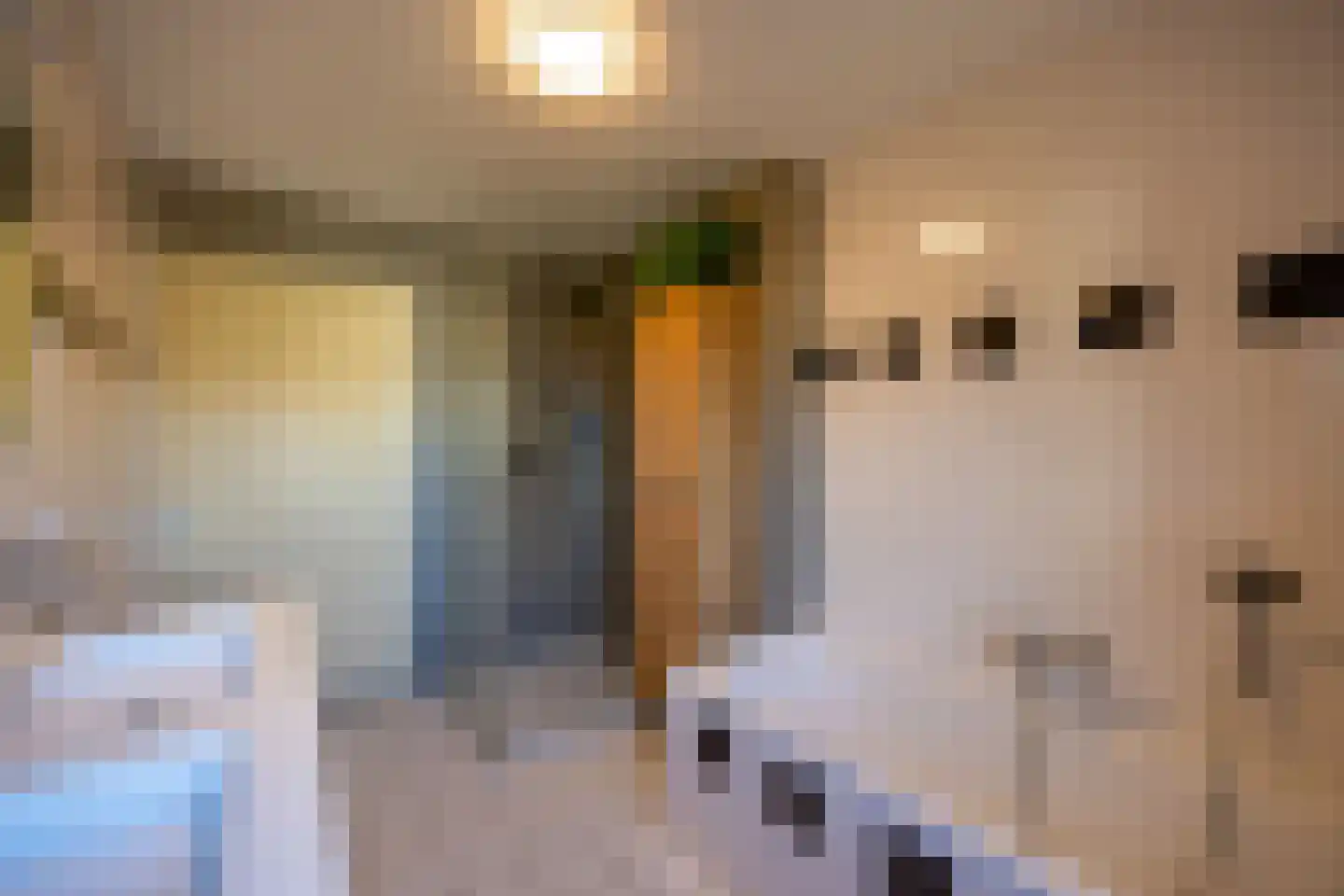 Belle van Zuylenhof 5 Huizen thumbnail 26