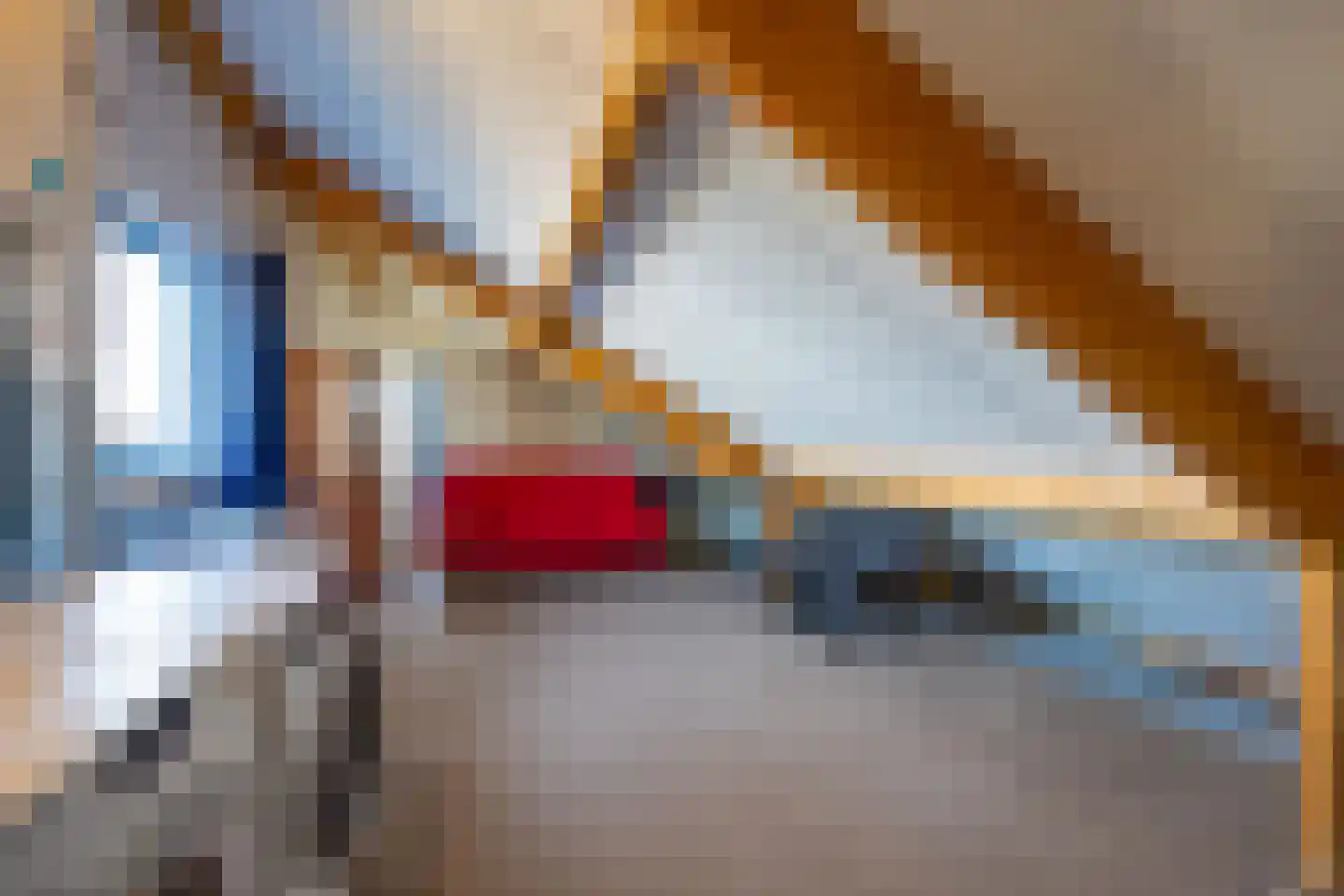 Belle van Zuylenhof 5 Huizen thumbnail 29