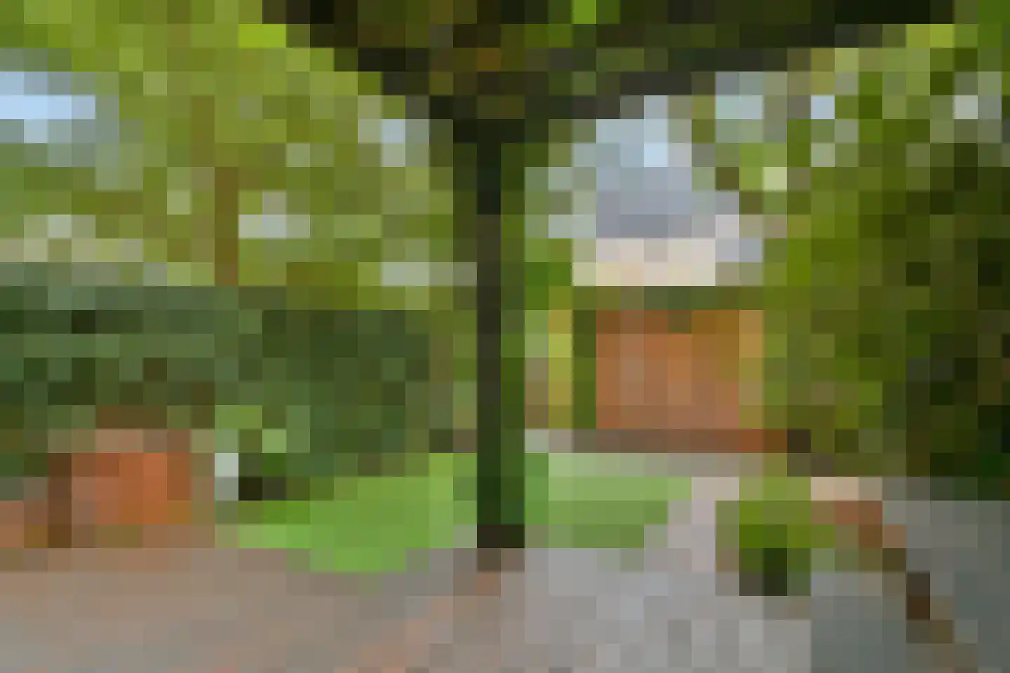 Belle van Zuylenlaan 13 Amstelveen thumbnail 15