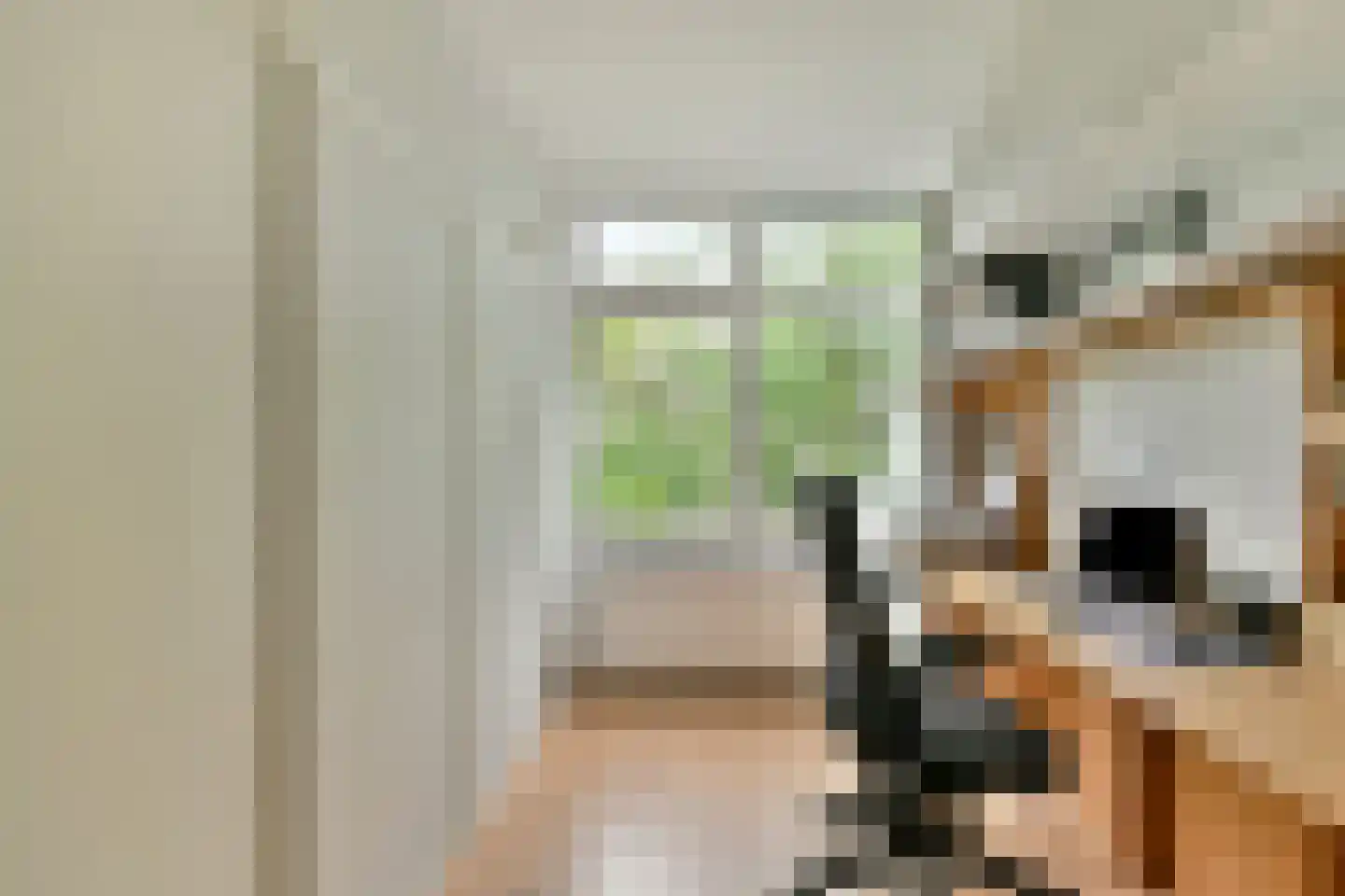 Belle van Zuylenlaan 13 Amstelveen thumbnail 23