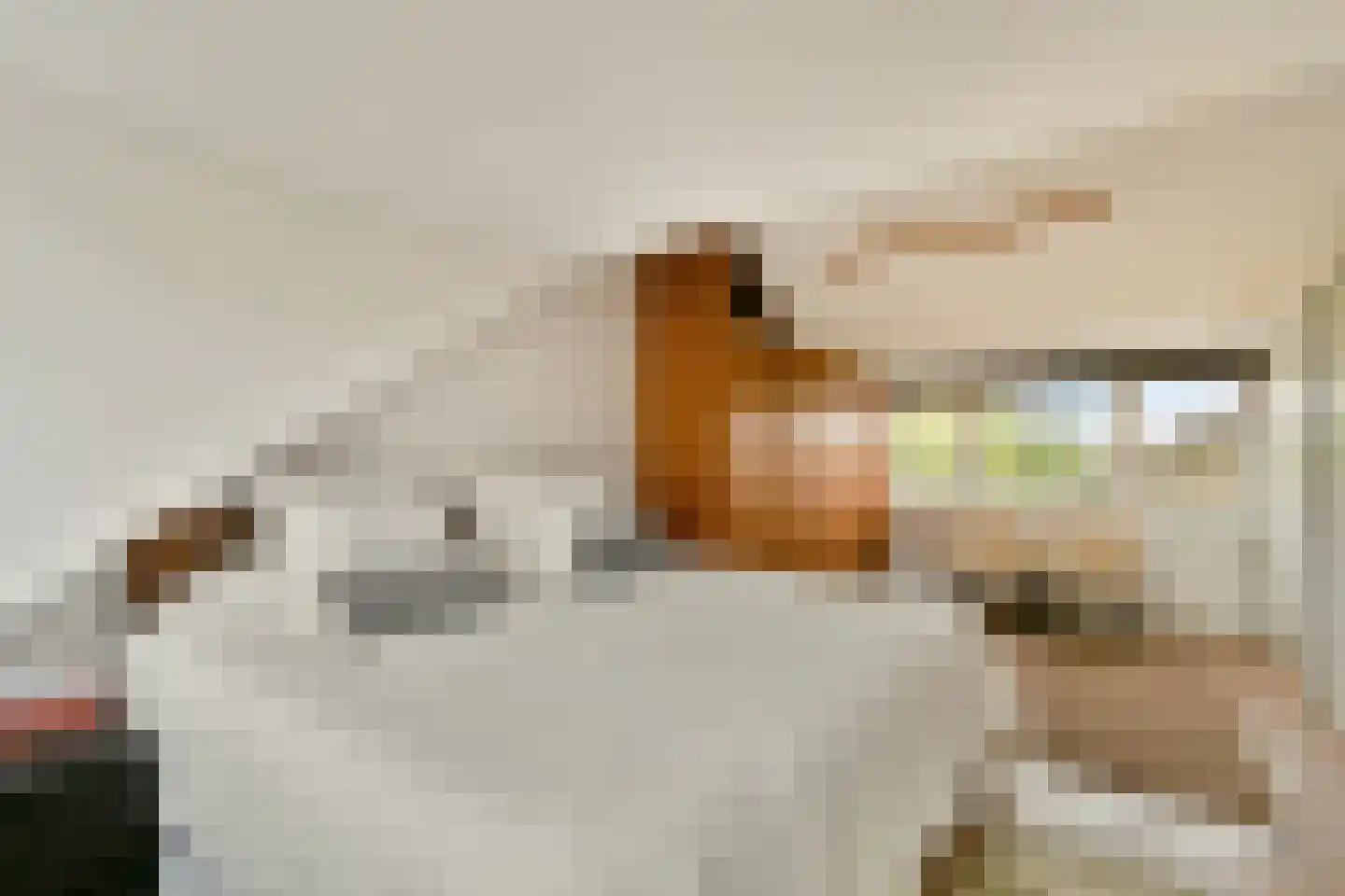 Belle van Zuylenlaan 13 Amstelveen thumbnail 4