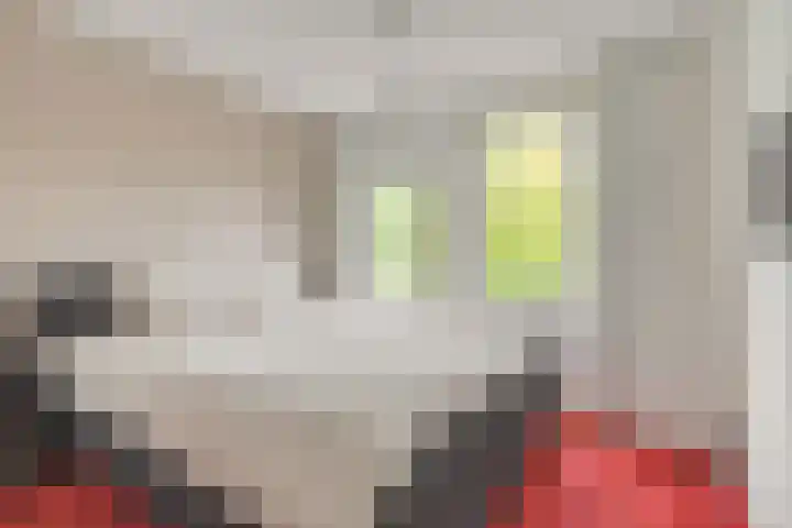 Belle van Zuylenlaan 14 Heemstede thumbnail 15