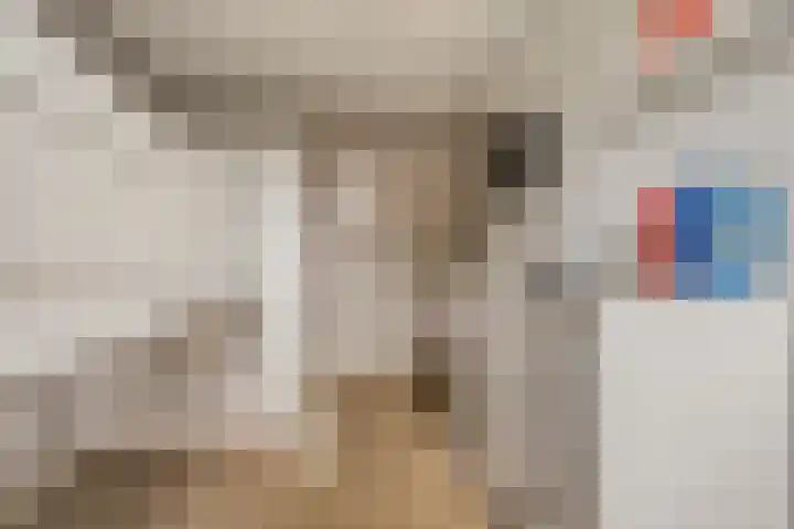 Belle van Zuylenlaan 14 Heemstede thumbnail 19