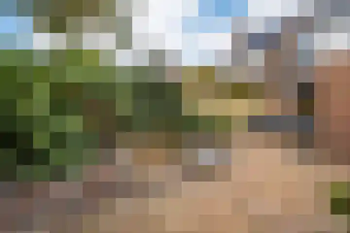 Belle van Zuylenlaan 14 Heemstede thumbnail 35