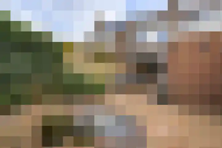 Belle van Zuylenlaan 14 Heemstede thumbnail 36
