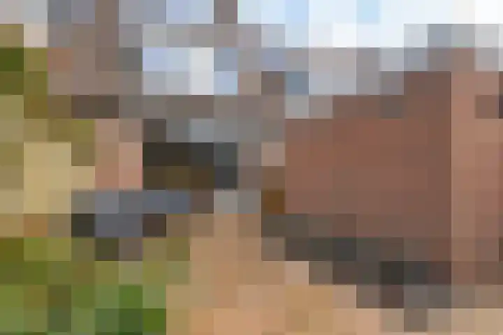 Belle van Zuylenlaan 14 Heemstede thumbnail 37