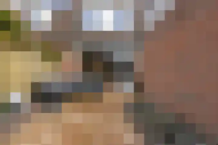 Belle van Zuylenlaan 14 Heemstede thumbnail 38