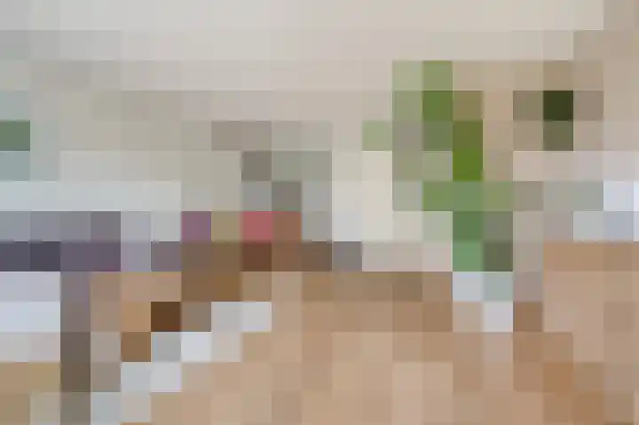Belle van Zuylenlaan 14 Heemstede thumbnail 5