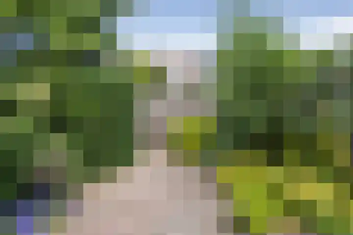 Belle van Zuylenlaan 17 Heemstede thumbnail 13